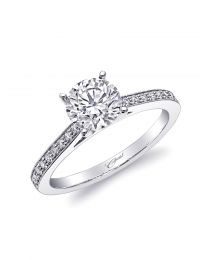 Classic and Elegant Engagement ring