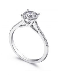 Peek-A-Boo diamond Engagement Ring